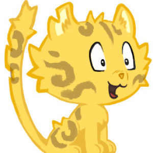 NetDynAdmin