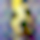 bananamangodog