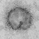 TrueInfections