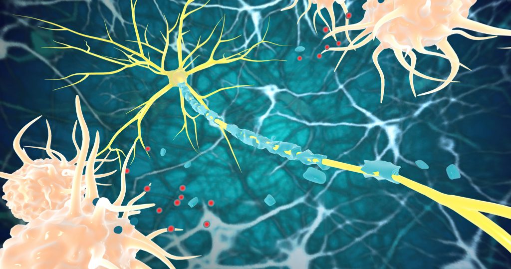 Three colorful neurons with yellow branching dendrites and a blue myelinated axon within a neural network.